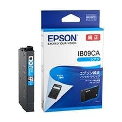 IB09CA インクカートリッジ(シアン)/標準インク/約300ページ対応 インクカートリッジ・インクリボン IB09CA インクカートリッジ(シアン)/標準インク/約300ページ対応 インクカートリッジ・インクリボン
