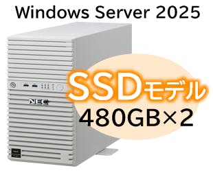 Express5800/D/T110m Xeon 6315P 4C/16GB/SSD 480GB*2 RAID1/W2025/タワー パソコン・周辺機器 Express5800/D/T110m Xeon 6315P 4C/16GB/SSD 480GB*2 RAID1/W2025/タワー パソコン・周辺機器