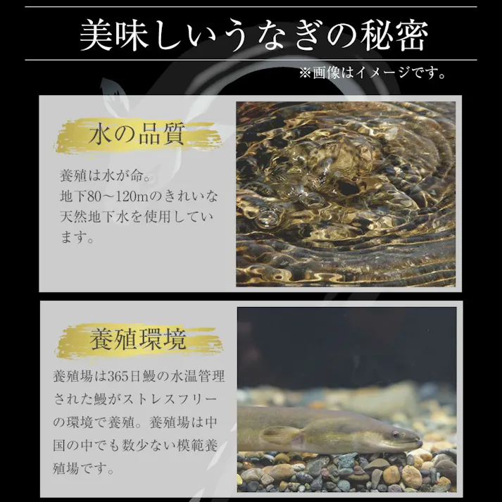 【冷凍】松屋 カット 鰻 15人前 松屋がてがける「すし松」厳選のうなぎ 送料込み#700230