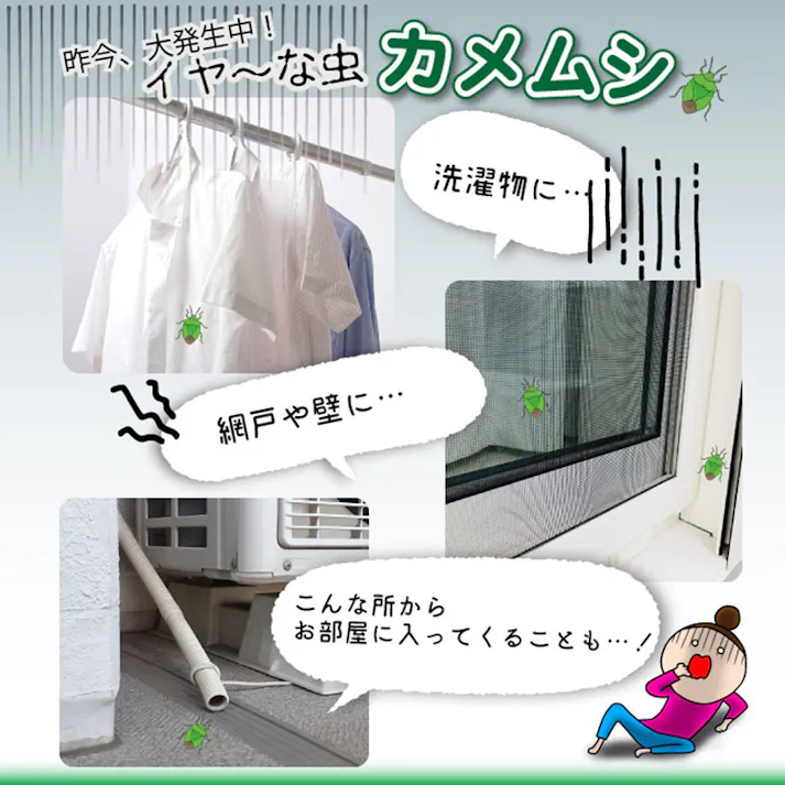 【カメムシ忌避剤カメムシクリン 250mL(スプレーボトル)+ 業務用 4L】 ちあふる 窓枠、網戸などにスプレーすれば侵入防止に! カメムシ 殺虫成分不使用 天然由来成分 JAN:4968909059962