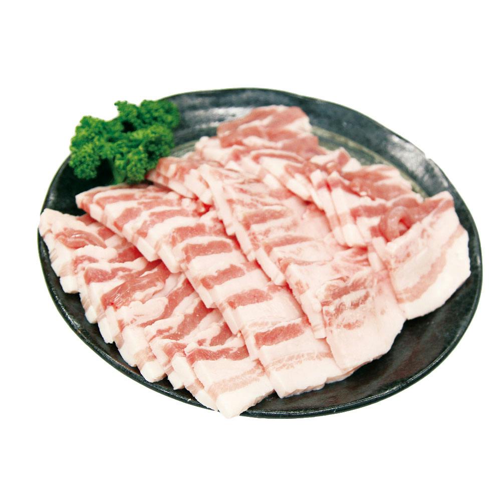 【冷凍】宮崎 SPF日南もち豚 バラ焼肉用 500g 送料込み 食品 ＃130443