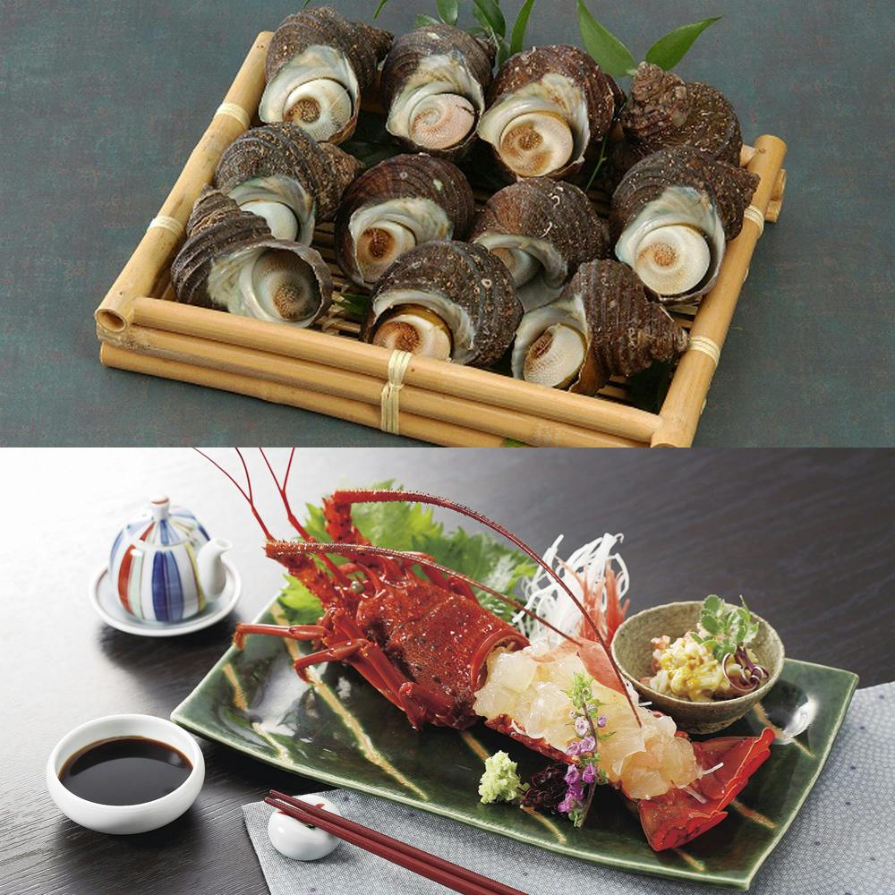 徳島 天然伊勢海老と天然サザエ詰合せ 送料込み 食品 #2940112 その他食品 徳島 天然伊勢海老と天然サザエ詰合せ 送料込み 食品 #2940112 その他食品
