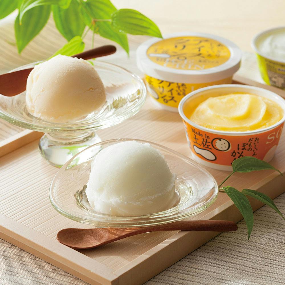 アイス！ 冷凍】高知 Made in 土佐「南の国の高知アイス」高知アイスセット