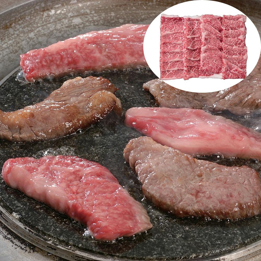 滋賀 近江牛焼肉 もも 450g 送料込み 食品 #3950190 その他食品 滋賀 近江牛焼肉 もも 450g 送料込み 食品 #3950190 その他食品
