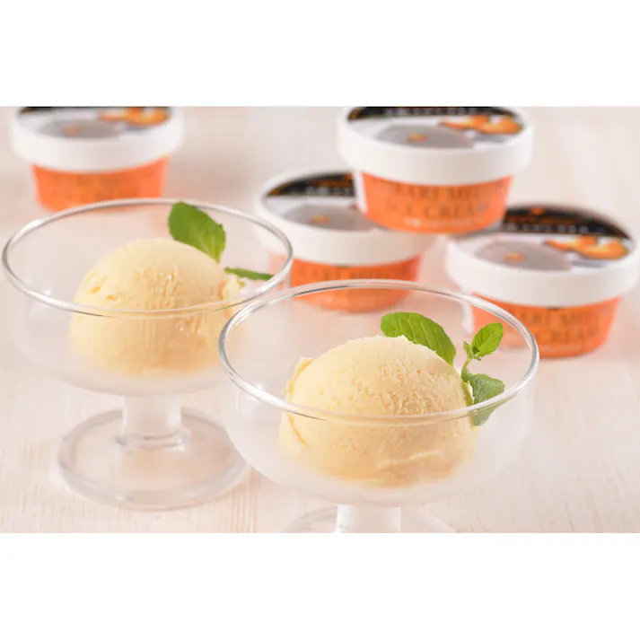 【冷凍】北海道 夕張メロンアイス 65ml×13個 送料込み 食品 #4450176
