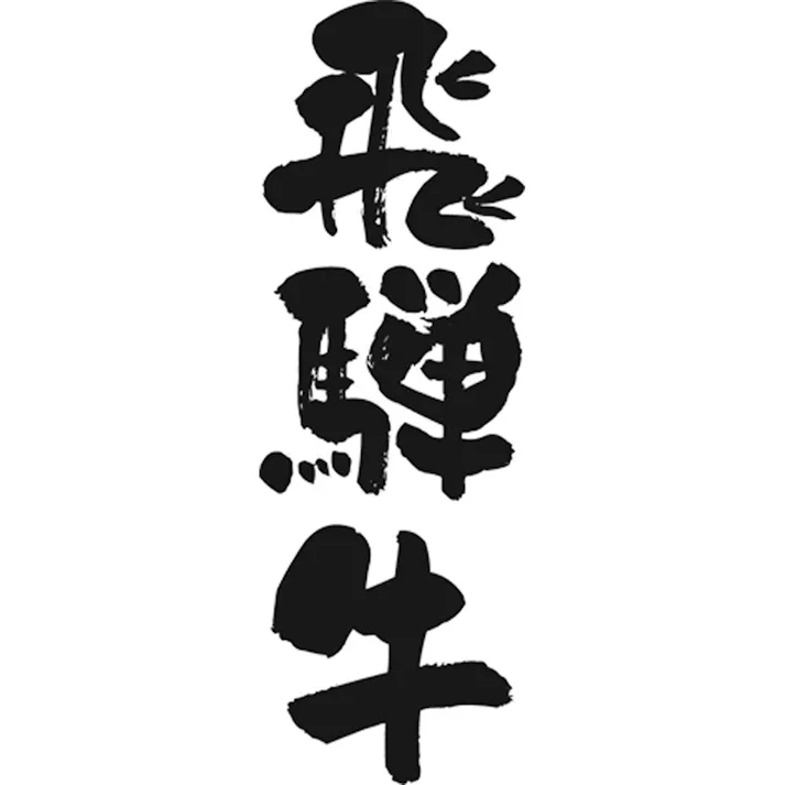 【常温】岐阜 飛騨牛ビーフカレー A 送料込み 食品 #770069