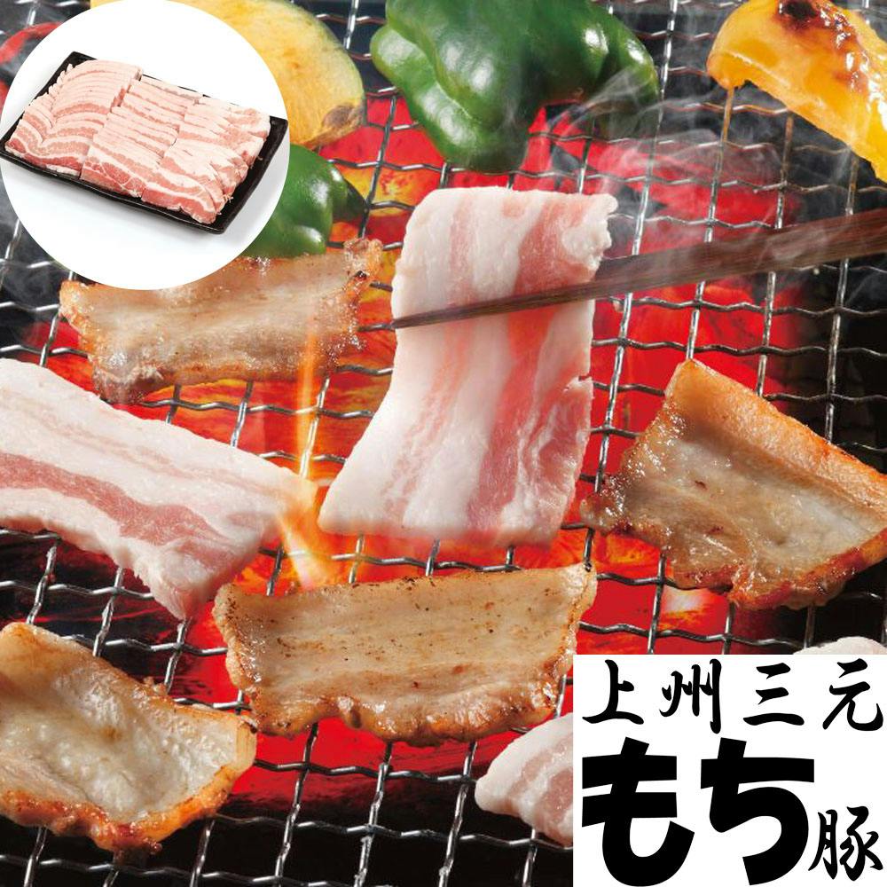 群馬 上州三元もち豚焼肉 B 送料込み 食品 #770098 その他食品 群馬 上州三元もち豚焼肉 B 送料込み 食品 #770098 その他食品