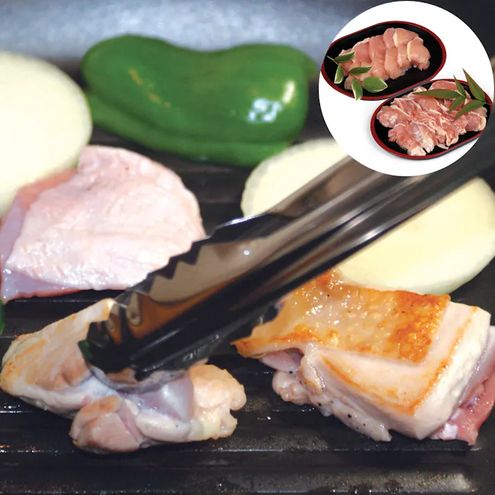 【冷凍】熊本 大阿蘇どり 焼肉 C 送料込み 食品 #770141