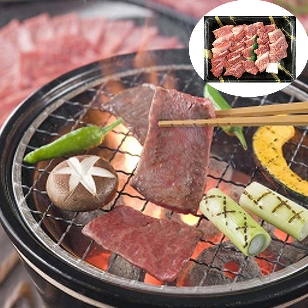 三重 松阪牛焼肉 ロース 900g 送料込み 食品 #790064 その他食品 三重 松阪牛焼肉 ロース 900g 送料込み 食品 #790064 その他食品