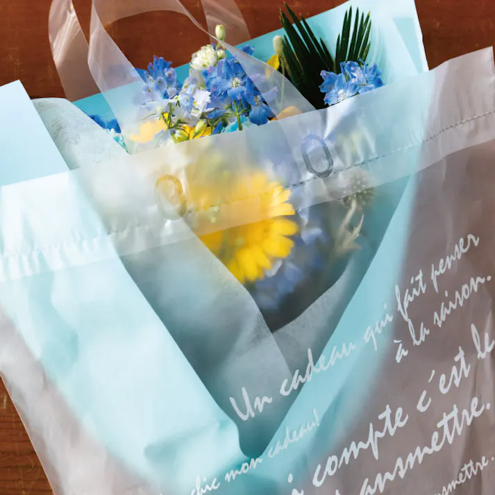 ヘッズ 袋-PE-ハンドル付 W450(250)×H500mm バケツ型フロストバッグ-LL(20枚) HEADS BKF-1LLB