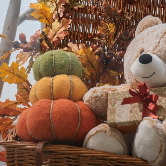 かぼちゃ専用): 2026年先行予約】くりかぼちゃ 2玉 C062-003-01 - 鹿児島県知名町