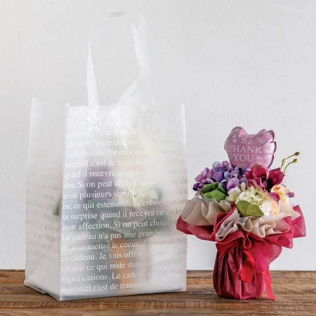 ヘッズ 袋－PE－ハンドル付 W270×D210×H400mm フレンチフロスト