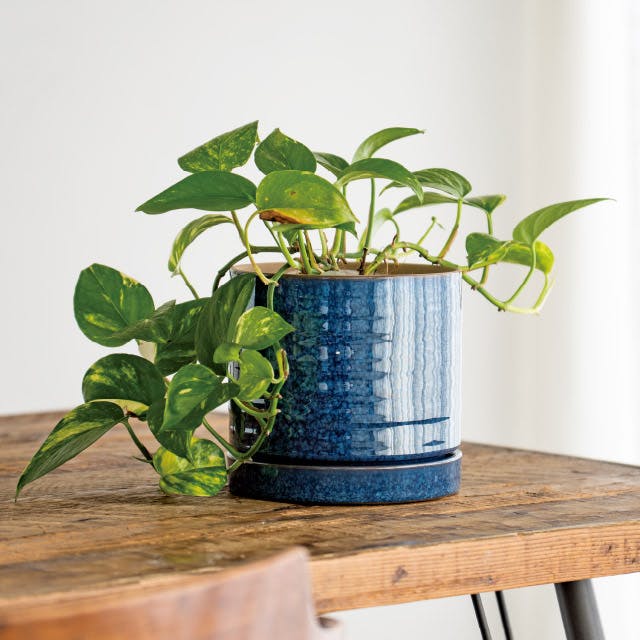 ⭐︎洋3 バカラ　カット　フラワーベース　箱付　高さ21.3㎝　東Y7-0904② 楽天市場】【ワンエントリーでポイント19倍＆最大48倍】 Samsonite SUB