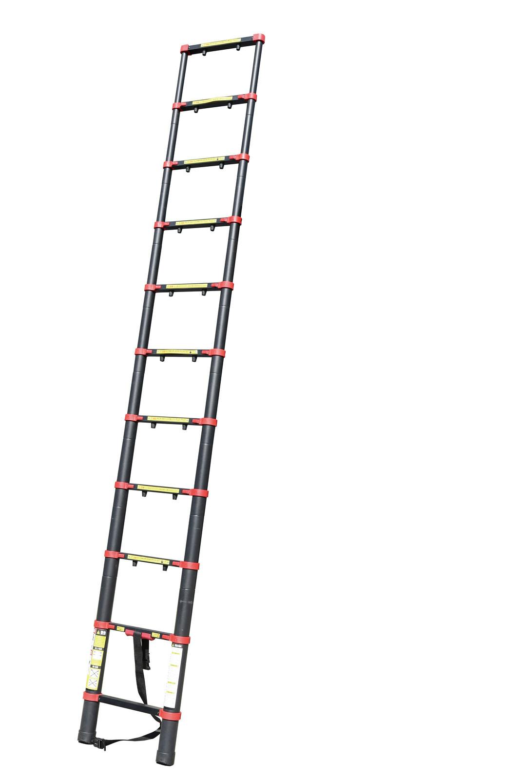 A~Lk͂ 11i  flife-4582448350153 Ԏd؂Ep[e[V