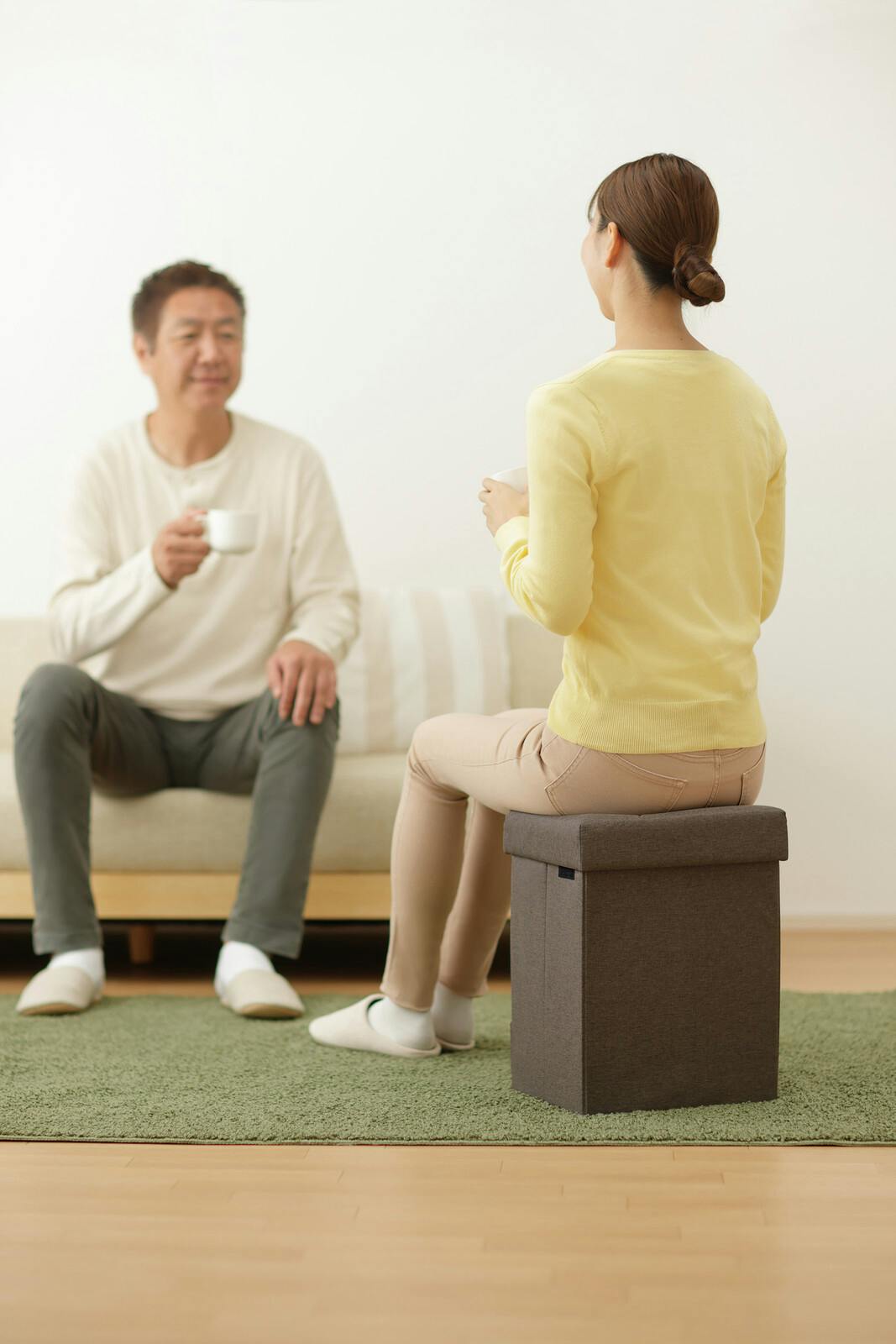 防災ニモナルマルチスツール ブラウン 送料込み ＃flife-4995312131657