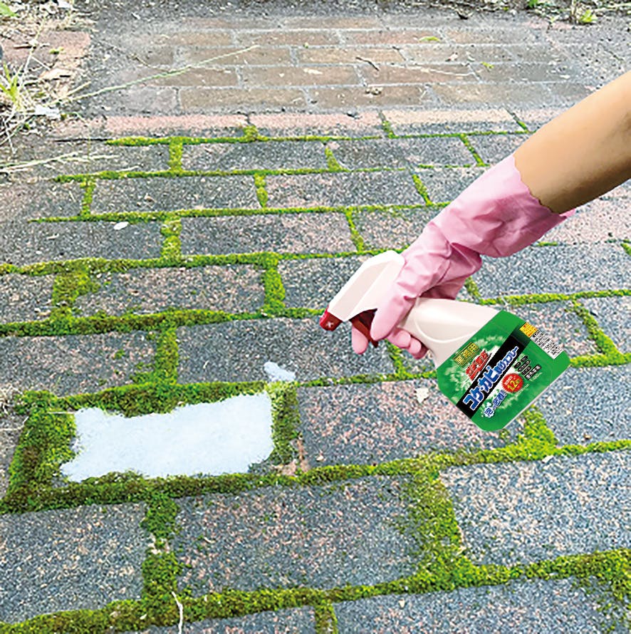 業務用ガチ落ちコケ・カビ取りスプレー 480ml お得な3本セット】 ちあ