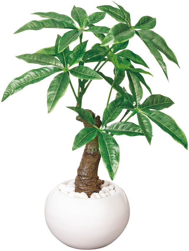 人工観葉植物 光触媒加工グリーンポット パキラ 空気もキレイにする癒しのグリーン 空気浄化、消臭、抗菌に作用するという光触媒加工済 送料込み ＃flife-4516744337143
