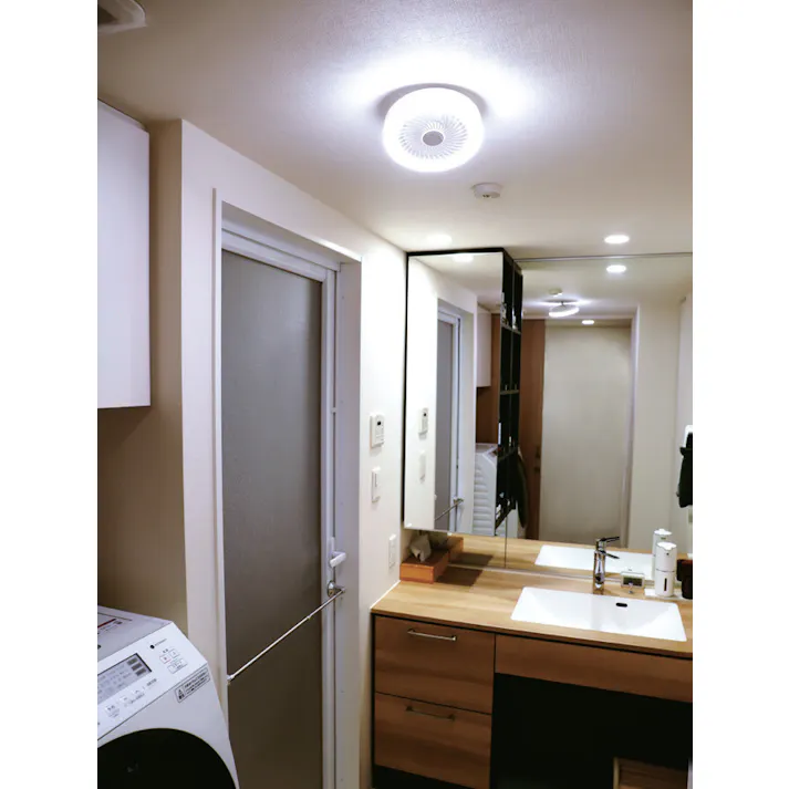 シーリングファンライトミニ 2個組 送料込み #flife-4589978835501