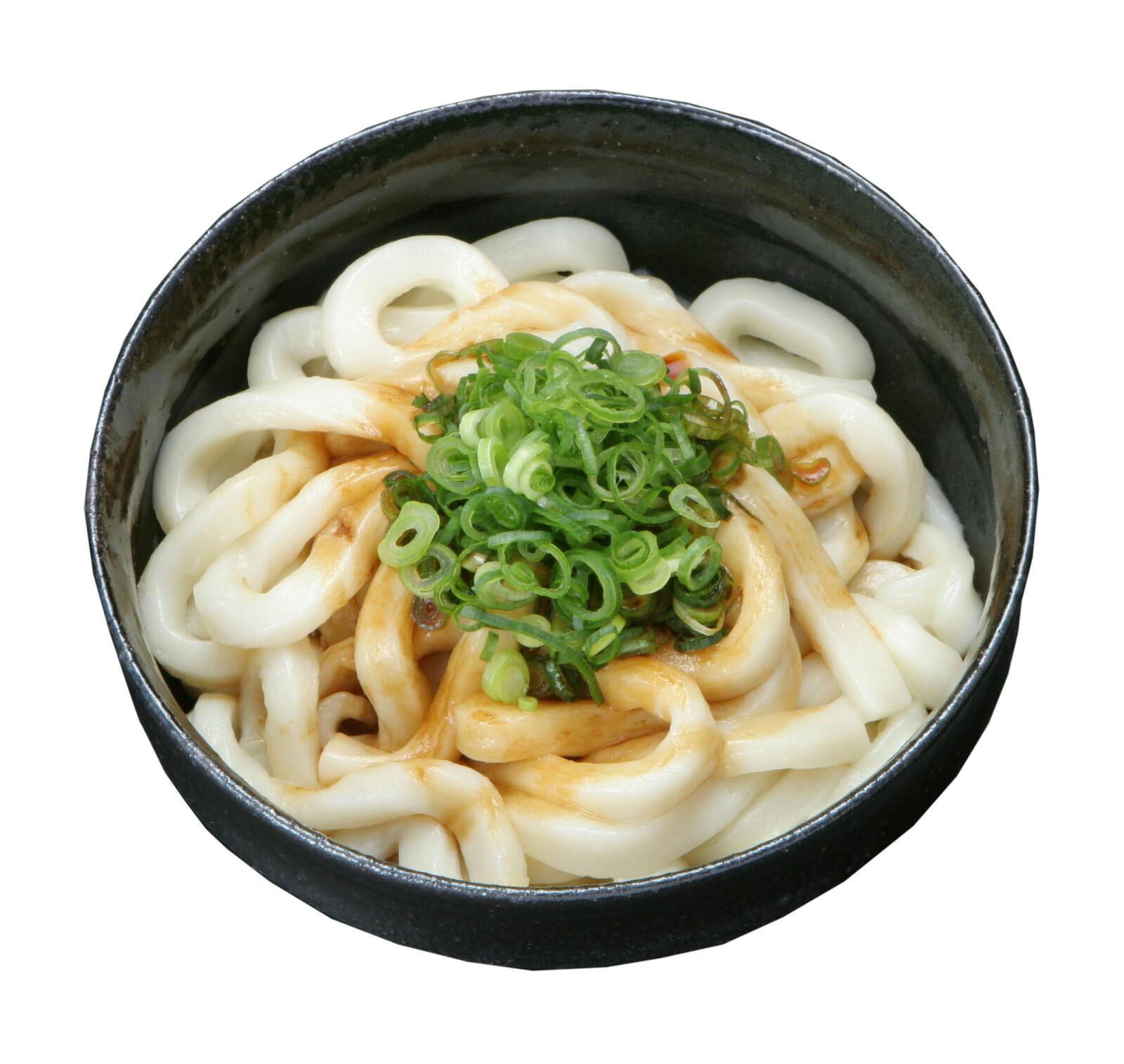 伊勢うどん 230g×10袋 三重県産小麦粉100％使用 モチモチの極太麺
