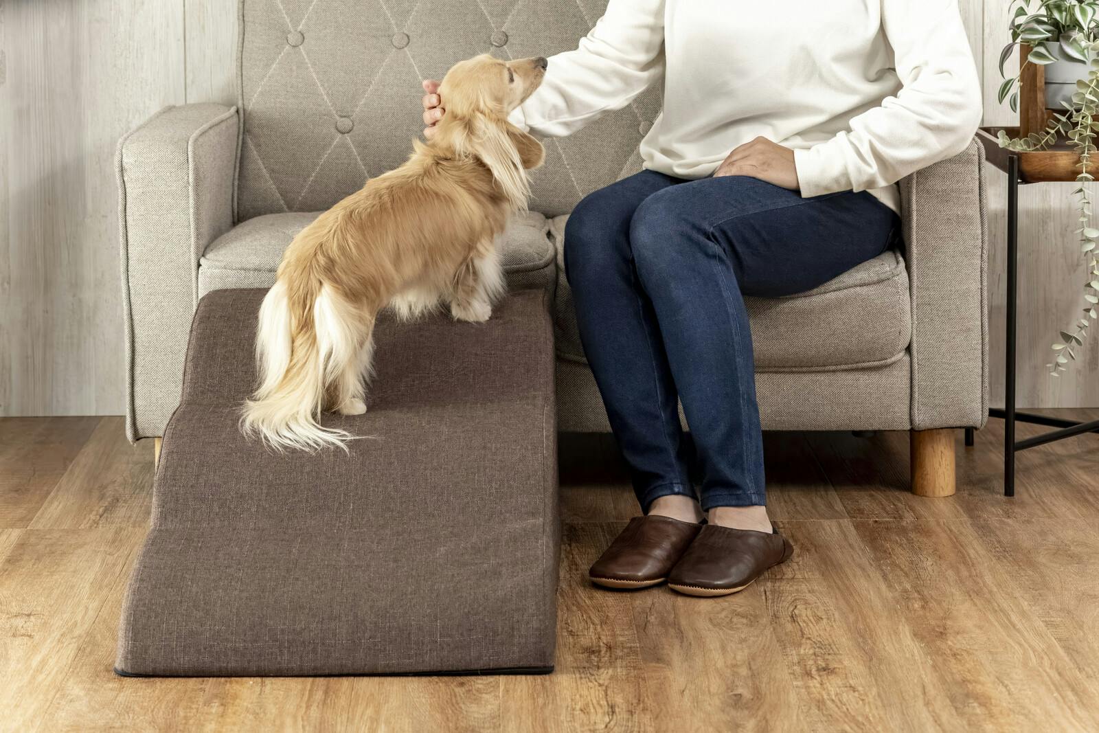 足腰に優しい高弾性小型犬用スロープ3段 送料込み ＃flife