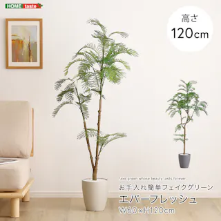 お手入れ簡単フェイクグリーン エバーフレッシュ Sサイズ(120cm)/カラー:グレー/ #sh-06-eve-s--gy 【4535306247669】【送料込み】