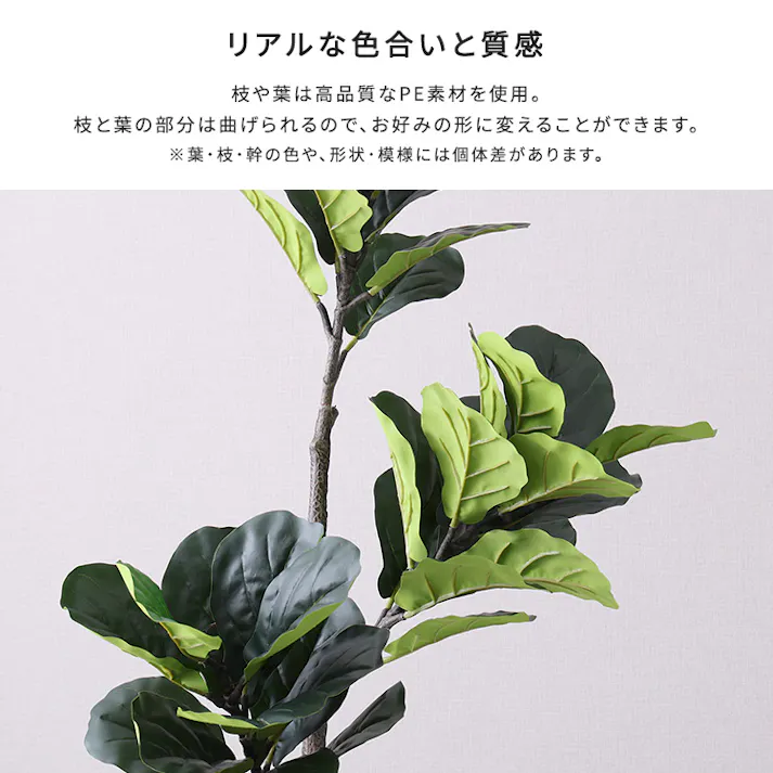 お手入れ簡単フェイクグリーン フィカス・リラータ Lサイズ(180cm)/カラー:グレー/ #sh-06-fic-l--gy 【4535306247522】