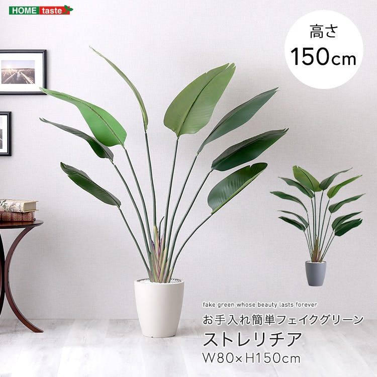 お手入れ簡単フェイクグリーン　ストレリチア　Mサイズ(150cm)／カラー：グレー／ ＃sh-06-str-m-gy　 フェイクグリーン