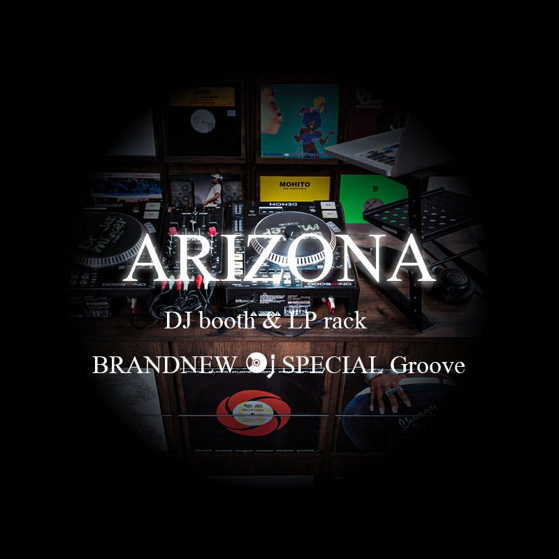 ARIZONA】両面ディスプレイ型レコードラック4DOORタイプ レコード収納