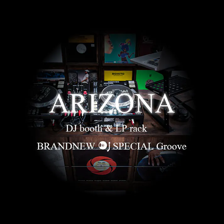 【ARIZONA】両面ディスプレイ型レコードラック4DOORタイプ レコード収納 ディスプレイラック レコード棚 lp cd 棚 本棚 フラップ扉 収納棚 収納ラック 木製 ターンテーブル 台 ブラウン ヴィンテージ レコードプレーヤー台