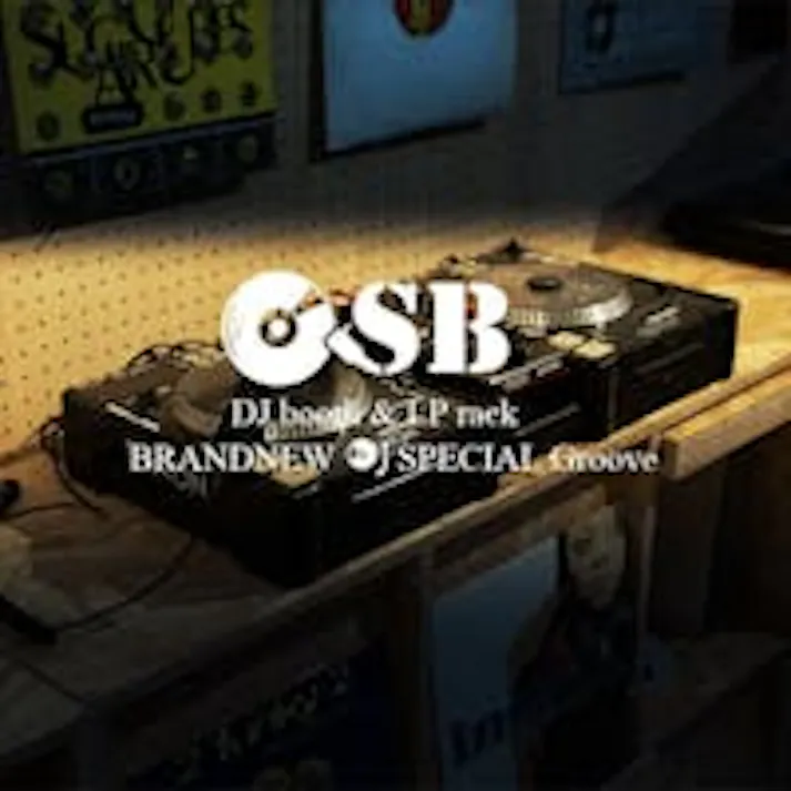 【OSB】両面ディスプレイ型レコードラック6DOORタイプ レコード収納 ディスプレイラック レコード棚 lp cd 棚 本棚 フラップ扉 収納棚 収納ラック 木製 ターンテーブル 台 ブラウン ヴィンテージ レコードプレーヤー台 DIY ガレージ ガレージ収納