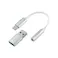 Smart DAC A150 Silver