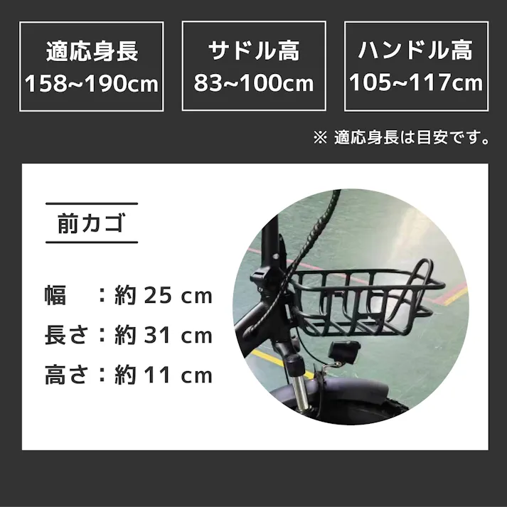 型式認定取得・公道走行可能!ファットバイクタイプ電動アシスト自転車:FAT-01(ブラック)