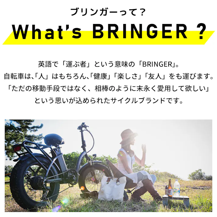 型式認定取得・公道走行可能!ファットバイクタイプ電動アシスト自転車:FAT-01(カーキ)