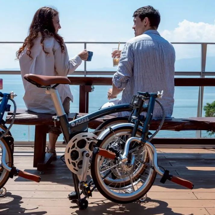 折りたたみ電動アシスト自転車 ASEEL クロームブラウン