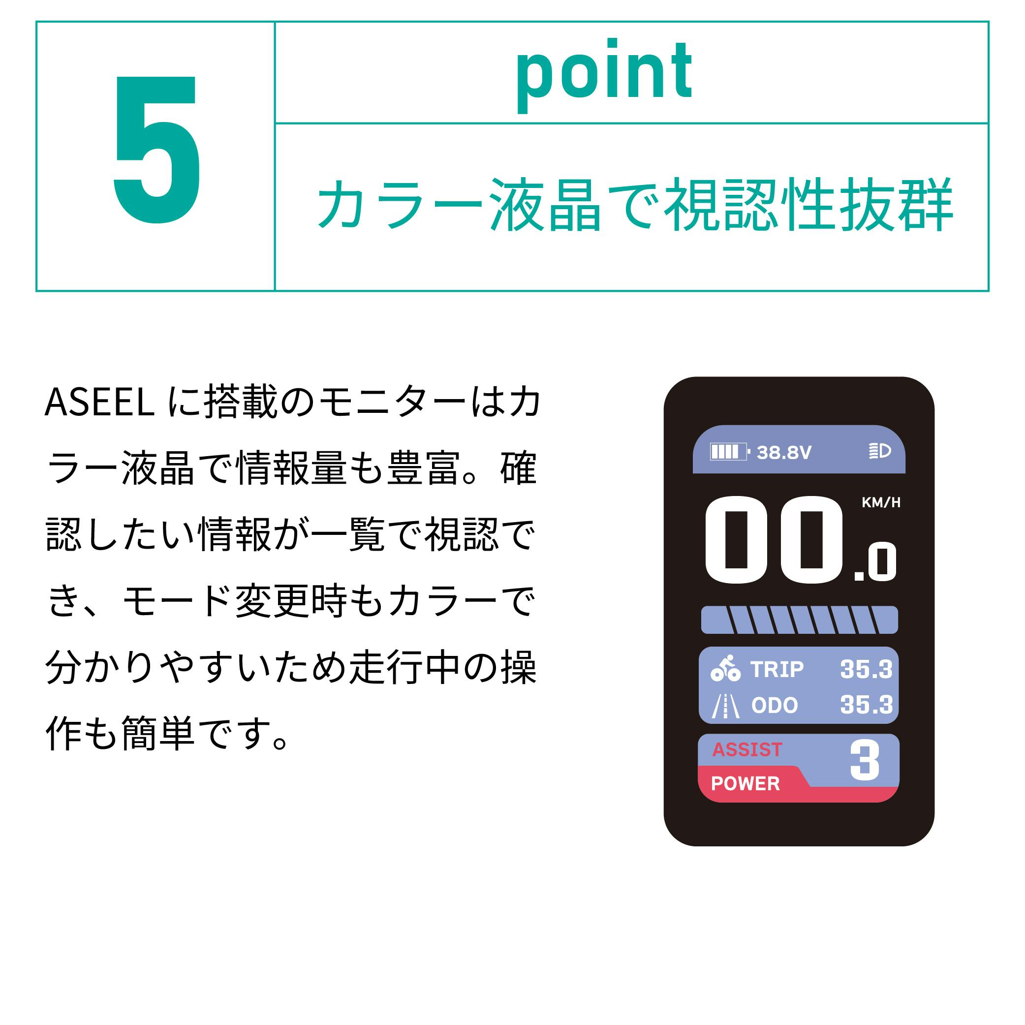 折りたたみ電動アシスト自転車 ASEEL スモーキーグレー | 電動