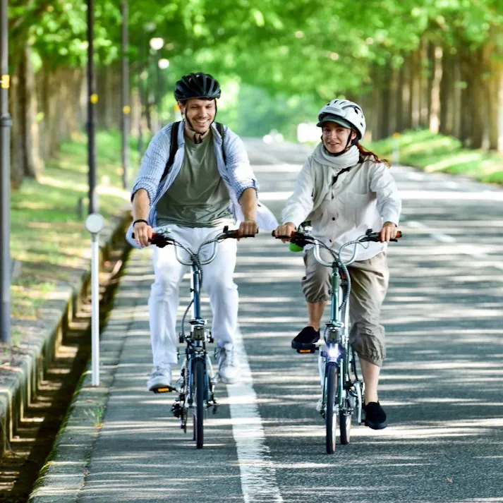 折りたたみ電動アシスト自転車 ASEEL スモーキーグレー