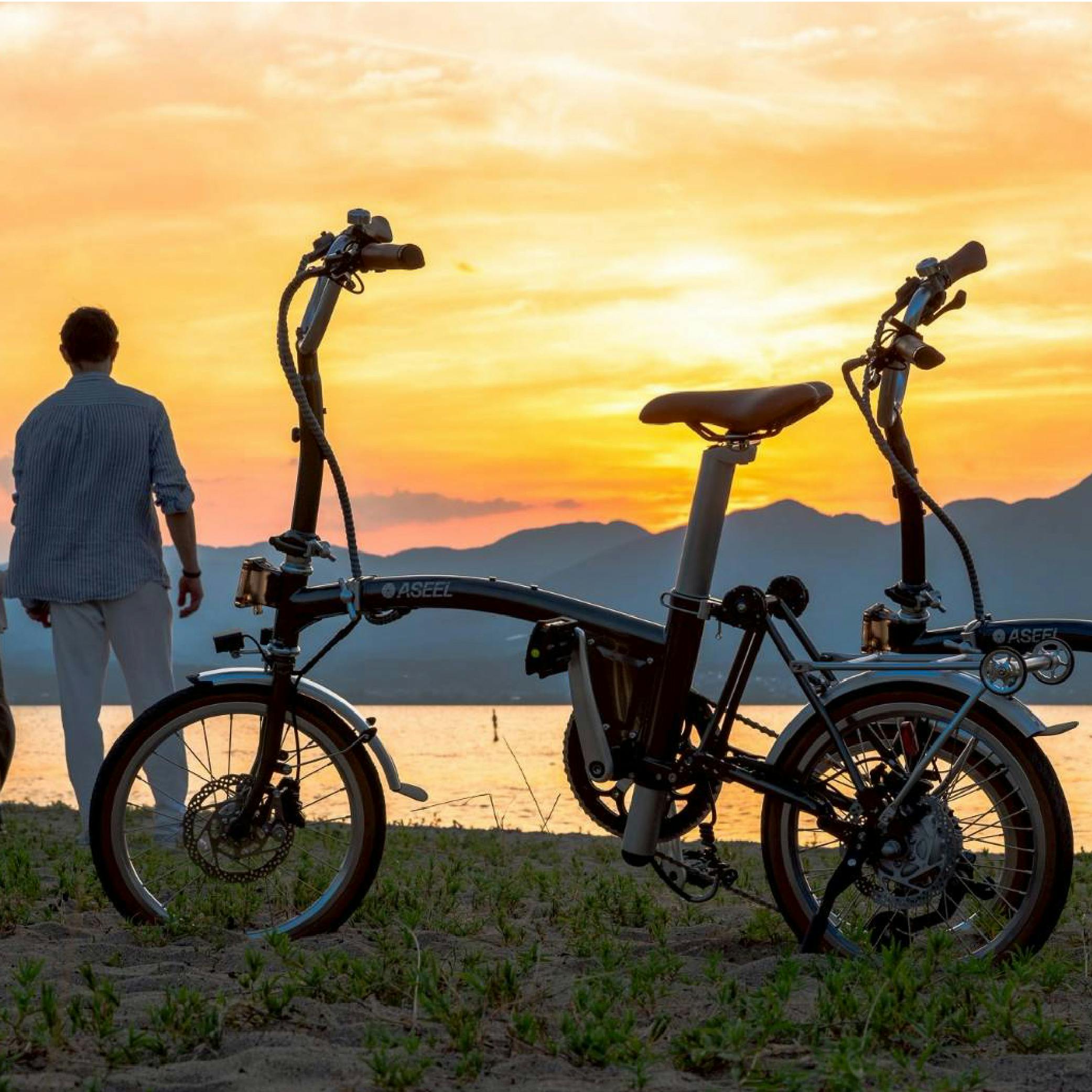 折りたたみ電動アシスト自転車 ASEEL スモーキーグレー | 電動