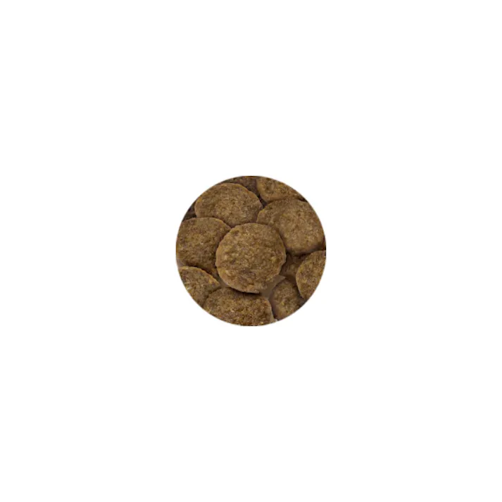 セレクトバランス アダルト/ 1才以上の成犬用 チキン 小粒 3kg