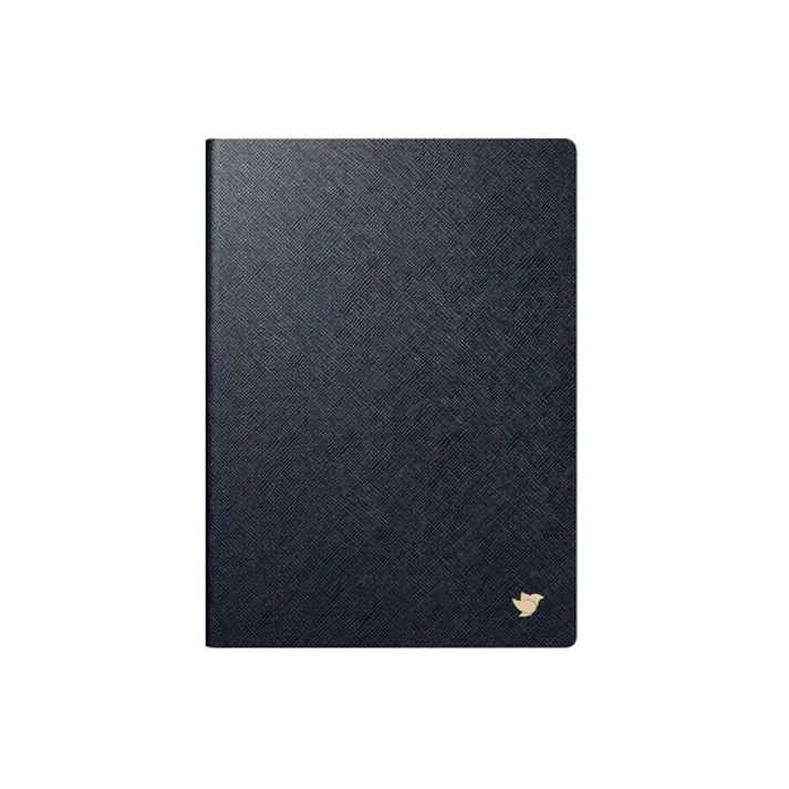 AI Note Air2 CASE NB