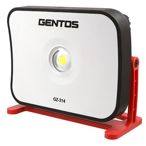 Ganz ������ �Ɩ��E���C�g