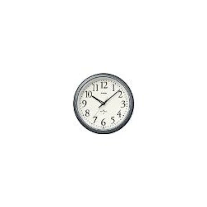 電波掛け時計アナログ シルバー IQ-1050NJ-8JF