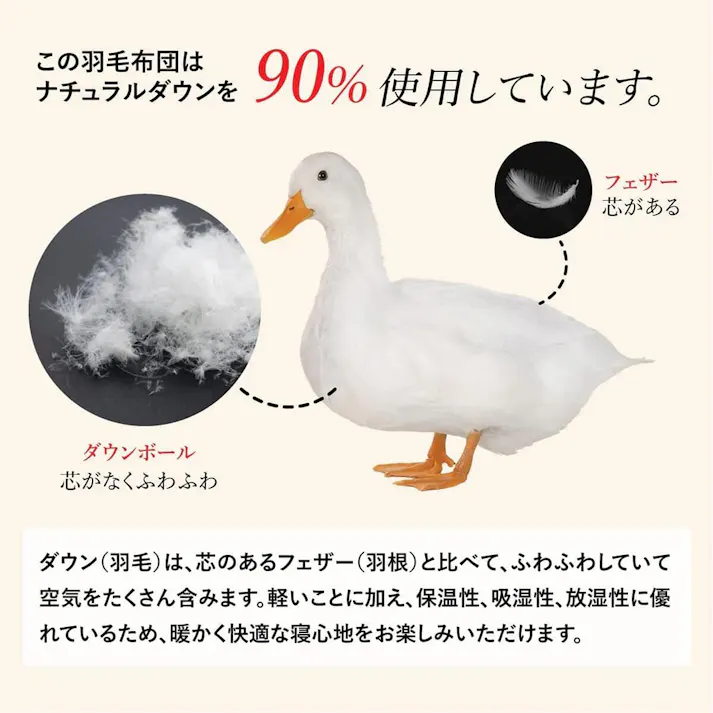羽毛布団 シングル ナチュラルダック 綿100% 350dp 防ダニ 抗菌 消臭 ダック ダウン90% かさ高145mm ダウンパワー350