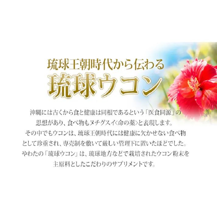 やわた ヘルスサポート 琉球ウコン 1ケ月分 90粒入 ×1点【送料込み】 #4980901211407