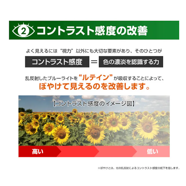 やわた メラックス 目のサプリメント 1ケ月分 30粒入 ×1点【送料込み】 #4980901211605