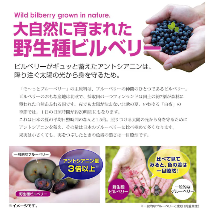 やわた モーっとブルーベリー 20日分 40粒入 ×1点【送料込み】 #4980901213142