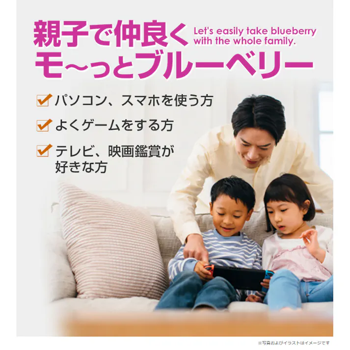 やわた モーっとブルーベリー 20日分 40粒入 ×1点【送料込み】 #4980901213142