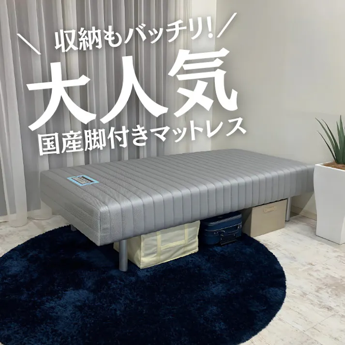 フランスベッド 脚付きマットレス セミダブルサイズ M 高密度連続スプリング 3色から選べるカラーバリエーション 3種類の選べる脚の高さ FranceBed 通気性抜群