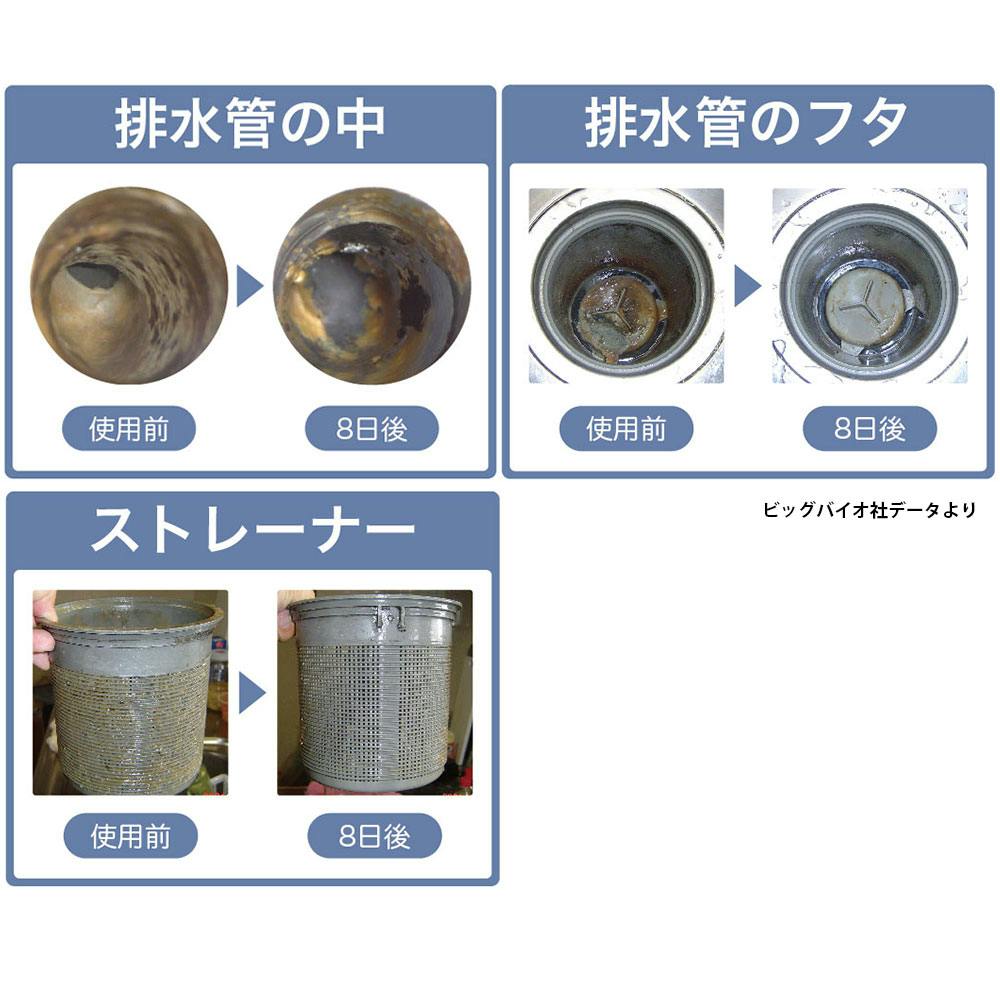 ヌメリのち晴れ 排水管洗浄剤 50錠入 ×1点【送料込み