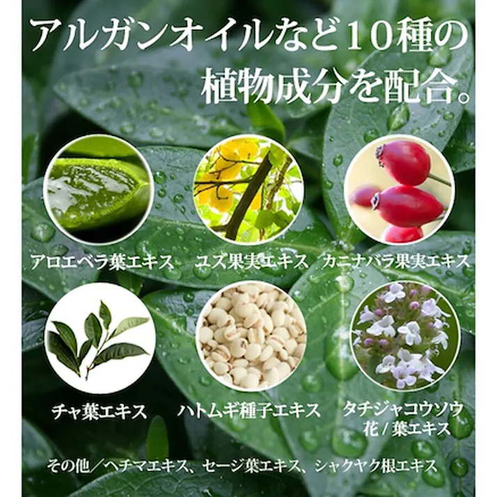 プロステージ ボタニカル オールインワンローション フォーメン 300mL ×1点【送料込み】 #4560300000668