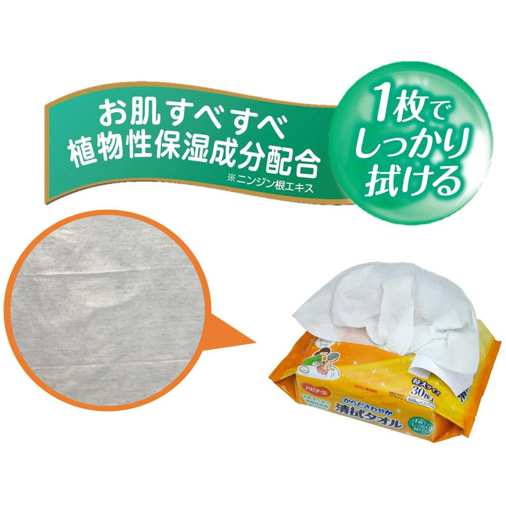 ハビナース からださわやか清拭タオル 30枚入 ×1点【送料込み